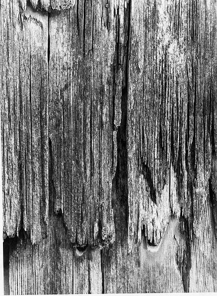 Datei:Wandschindeln.jpg
