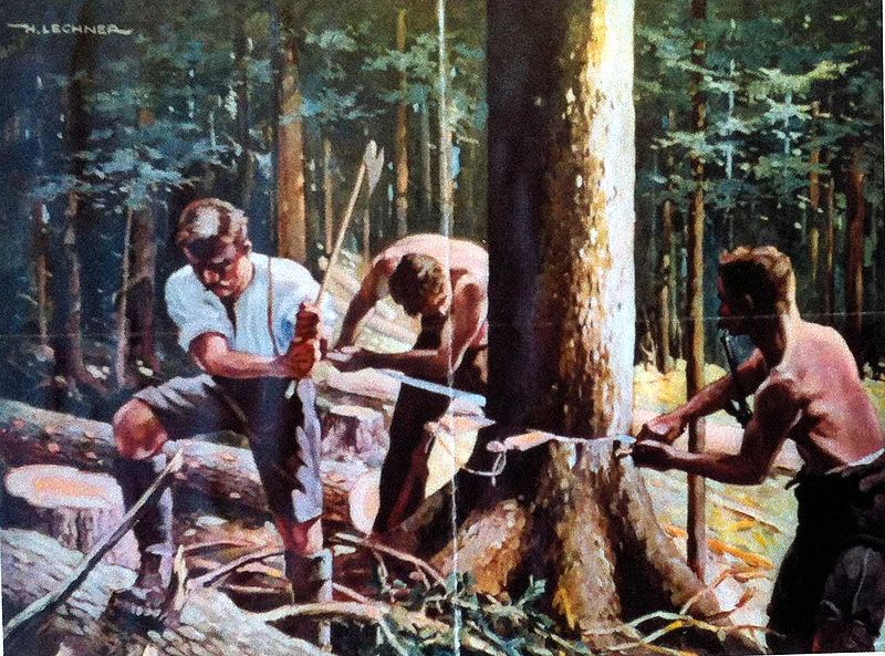Datei:Lechner08.jpg