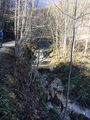 Nußdorfer Bach am Westwanderweg