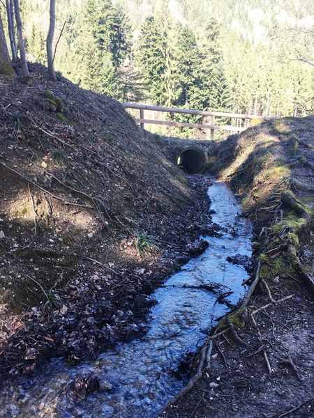 Datei:NußBach4.JPG
