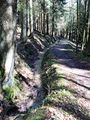Künstlich angelegtes Mühlbacherl entlang des Westwanderweges