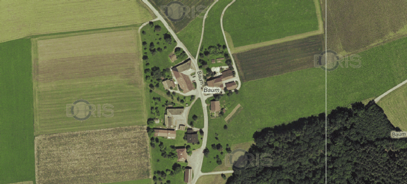 Datei:Baum.png