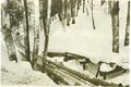 Vom Reihergupf führte um 1900 eine Holzriese bis zum See