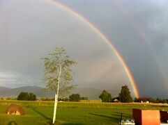 Farbenspiel nach dem Gewitter