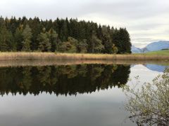 Spiegelung am Egelsee in Unterach