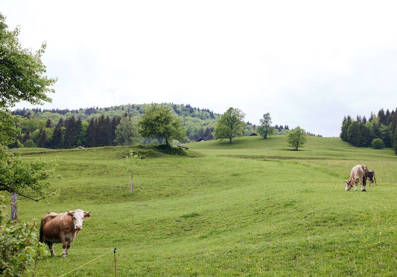Datei:Naturpark-Bauernland.jpg